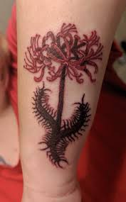 Red spider tattoo, putnam, ct. Red Spider Lily Tattoo Design Spider Lily Tatoo