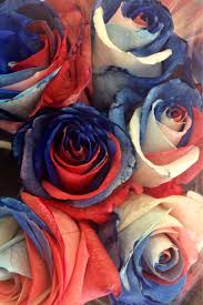 Black And Blue Roses Delivery Red White And Blue Roses Flowers With Images White And Blue Flowers Blue Roses Blue Flowers Garden