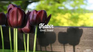 کبیر Kabir Name Meaning In Urdu Arabic Names For Boys