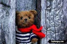 Cute 50 Teddy Bear Captions For Instagram Caption Guy