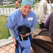 Save on affordable, comprehensive pet insurance when you sign up directly at petfirst. Mesa Veterinary Clinic Paws N Hooves Mobile Veterinary Services Pawsnhoovesvet Profile Pinterest