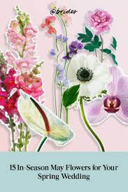 15 In Season May Flowers For Your Spring Wedding Spring Wedding Bouquets May Flowers Spring Season Flowers