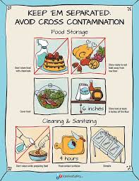 79 Veritable Separation Diet Chart
