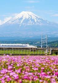Thinking Of A Japan Holiday Not Sure Where To Start Travelonline Are The Experts In Planning Building An Day Trips From Tokyo Island Hopping Japan Holidays