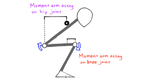 Squat Mechanics A Clarification By Mark Rippetoe May 19 2017 Moments At The Hip And Knee Squat Mechanics Squats Mechanic