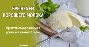 как сделать брынзу из коровьего молока в домашних условиях видео Brynza Iz Korovego Moloka Recept S Foto Poshagovo 1000 Menu
