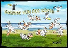 Sturm Lustige Bilder Lustig Urlaub Zitate Lustig