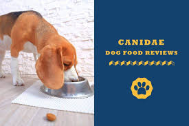 Our analysis of the ingredients show that this in our option, this is one of the most important properties to judge when reviewing pet food, therefore we believe this is an exceptional product in. Canidae Dog Food Reviews 2021 Totally Goldens