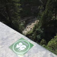 Build and optimize digital experiences for any tech stack, visually. Fcsg Espenblock Mached Mal Laaarm Danke Ford Bilder Fcsg Stgallen Fcstgallen Espenblock Espen Gruenwiis Grun Fussball Sticker Abseiz Ch Lasst Dich In Die Welt Der Ultras Und Hooligans Eintauchen Facebook