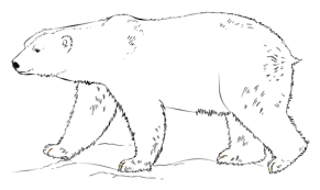 Polar Bear Walking Coloring Page From Polar Bears Category Select From 24848 Printable Crafts Of Polar Bear Coloring Page Polar Bear Color Bear Coloring Pages