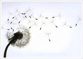 Pin On Inspiration