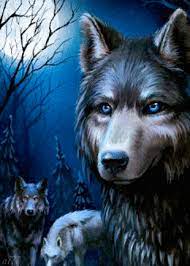 We've gathered more than 5 million images uploaded by our users and sorted them by the most popular ones. 220 Wolf Gifs Ideas Wolf Wolf Pictures Wolf Spirit