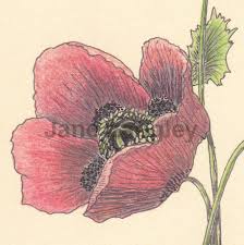 Profile for Jane Langley Art