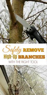 How To Safely Prune Hard To Reach Tree Branches Empress Of Dirt Gardening For Beginners Home Vegetable Garden Garden Pests