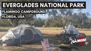 Maybe you would like to learn more about one of these? Flamingo Campground Everglades National Park Youtube