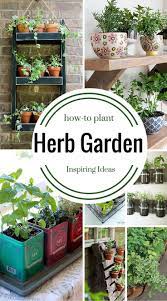 9 Herb Garden Ideas How To Plant Herb Garden Design Planting Herbs Home Vegetable Garden