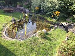 Hier das pdf zum download. Lory Naturgarten Galerie Kunststoffbecken Teich Naturnah Umgestaltet