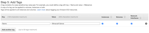 Under network & security, click on elastic ips. Setup Minecraft Server Java Edition In Aws Ec2