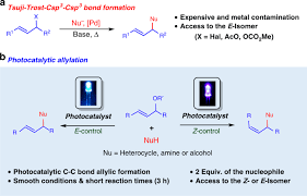 Manuela freire serrano (nacida caldera mascayano), benigno caldera mascayano, miguel caldera. Chromoselective Access To Z Or E Allylated Amines And Heterocycles By A Photocatalytic Allylation Reaction Nature Communications