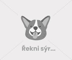 Toho pes využil v okamžiku, kdy okolo procházela jiná žena, která byla na procházce se svým menším psem. Flexi Voditko Pro Psa Inzerce Prodam Zampi