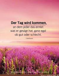Schone Spruche Die Von Herzen Kommen Herzen Kommen Schone Spruche Spruche Nachdenkliche Spruche Weisheiten Spruche