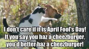 Just because you can say april fool's after every sentence today. The Best Funniest April Fool S Day Memes Mama S Geeky