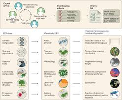 Priority list of biodiversity metrics to observe from space | Nature  Ecology & Evolution