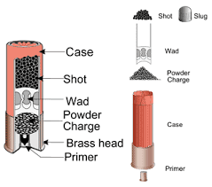 Ammunition Demystifier Shotgun Ammo The Well Armed Woman