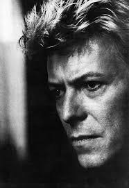 pin on bowie
