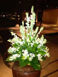 Iis sugianto — bunga sedap malam. We Call It Bunga Sedap Malam And Is Easy To Find It In Bali Rangkaian Bunga Bunga Dekorasi Gereja