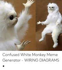 Pin On Persian Cat Meme Generator