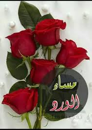 صور مساء الخير أجمل صور مساء الفل والياسمين والنور والعسل ويسعد مساكم Rose Flower Wallpaper Red Roses Wallpaper Red Rose Bouquet