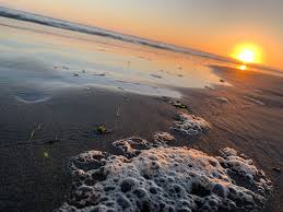 T« march single tile, alongside the images,. Content Posted In 2019 Humboldt State University Press And Digital Works From Humboldt State University