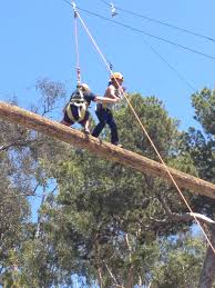 Balancing And Crossing The Beam Dancing Around It Blindly Crossing It And Walking Backwards Team Building Team Building Activities Building
