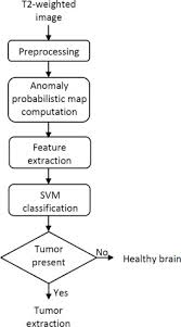 Brain Tumor Presence Detection Flow Diagram Download