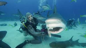 Stuart Cove S Dive Stuartcovedive Twitter