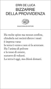 Erri de luca ama definirsi redattore di storie più che scrittore di romanzi: Amazon Com Bizzarrie Della Provvidenza Collezione Di Poesia Vol 420 Italian Edition Ebook De Luca Erri Kindle Store