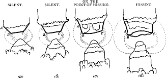 Hertha ayrton was a pioneering physicist and promoter of women's rights. Beautiful Genius Hertha Ayrton And The Electric Arc Semantic Scholar