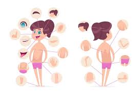 Download 3,300+ royalty free female human body parts vector images. Girl Body Parts Female Anatomy Biology Human Head Nose Eyes Hands Foo By Onyx Thehungryjpeg Com
