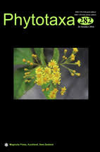 Image result for Periglossum mackenii