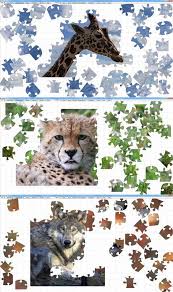 Check spelling or type a new query. Jigsaw Factory Jigsaw Puzzle Generator Software For Windows Pc By Zethrax Jigsaw Puzzles Jigsaw Puzzles For Kids Free Jigsaw Puzzles