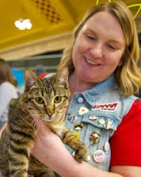 🚀 Chicago friends, it's time to jump in! Before you head to POP Cats™ this  weekend, here's a quick heads-up: check out our cat guidelines to ensure  you and your feline pals