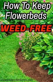 Pin On Stopping Weeds In The Garden And Landscape