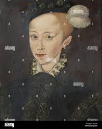 Guillim hi-res stock photography and images