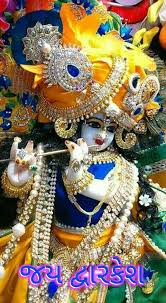 Garena free fire has more than 450 million registered users which makes it one of the most popular mobile battle royale games. Jay Dwarkadhish 280519 Krishna Pictures Krishna Wallpaper Radha Krishna Wallpaper