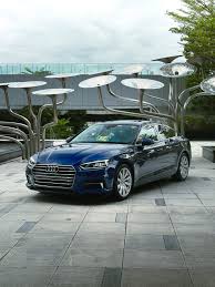 Image result for Navarra Blue 2017 Audi