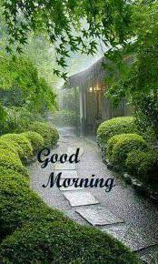 We did not find results for: Sign In Good Morning Rainy Day Good Morning Rain Good Morning Nature
