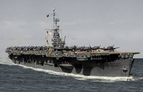 Image result for Thesium ussanguense