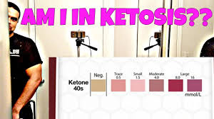 Ketone Test Strips Results Ketosis Diet Keto Ketosis Test Ketostix Vlog 2