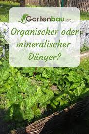 Organischer Oder Mineralischer Dunger Was Ist Besser Foto C Gartenbau Org Gartenpflege Dunger Dungen Garten G Gartendunger Gartenbau Nutzgarten Anlegen